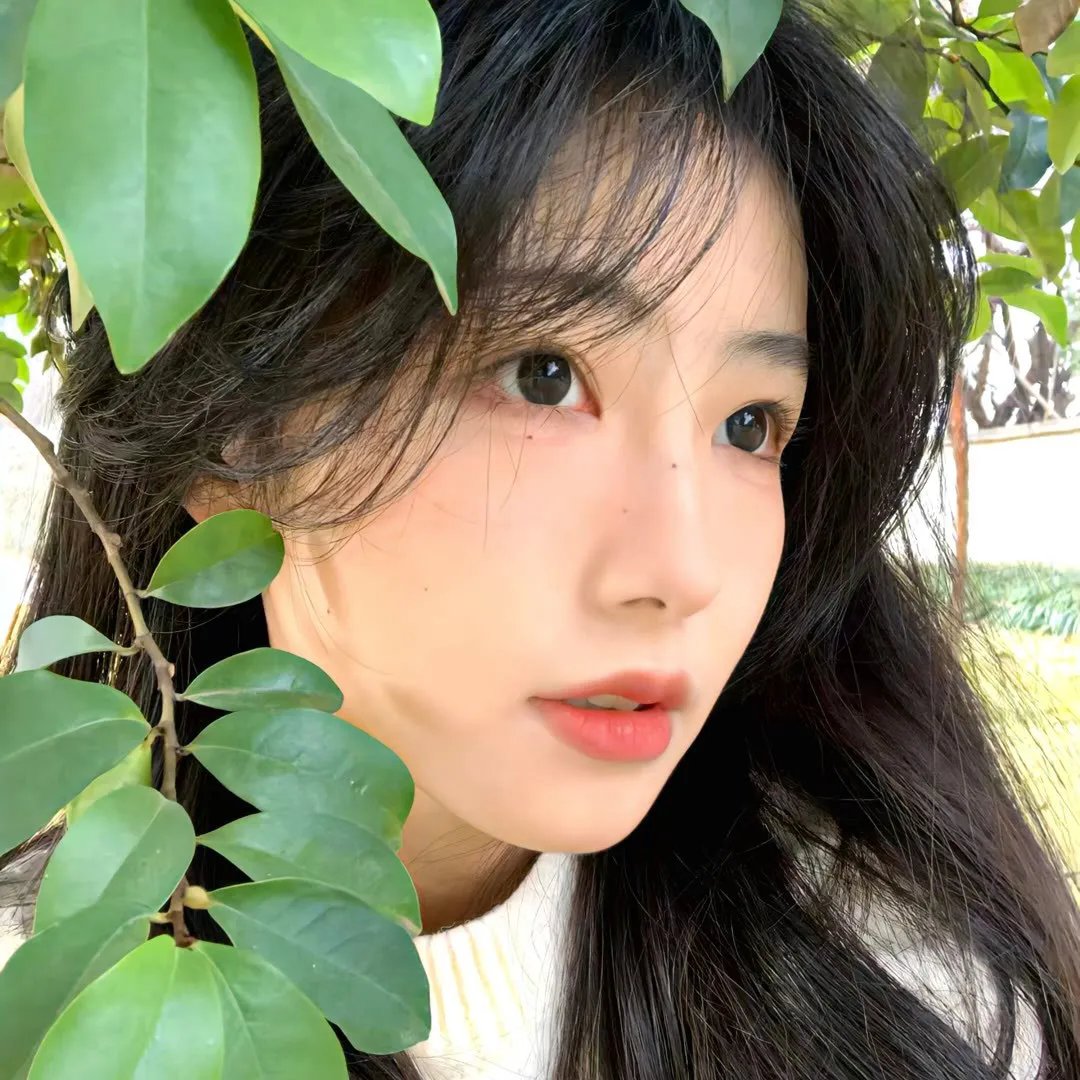 女帝的极品权臣